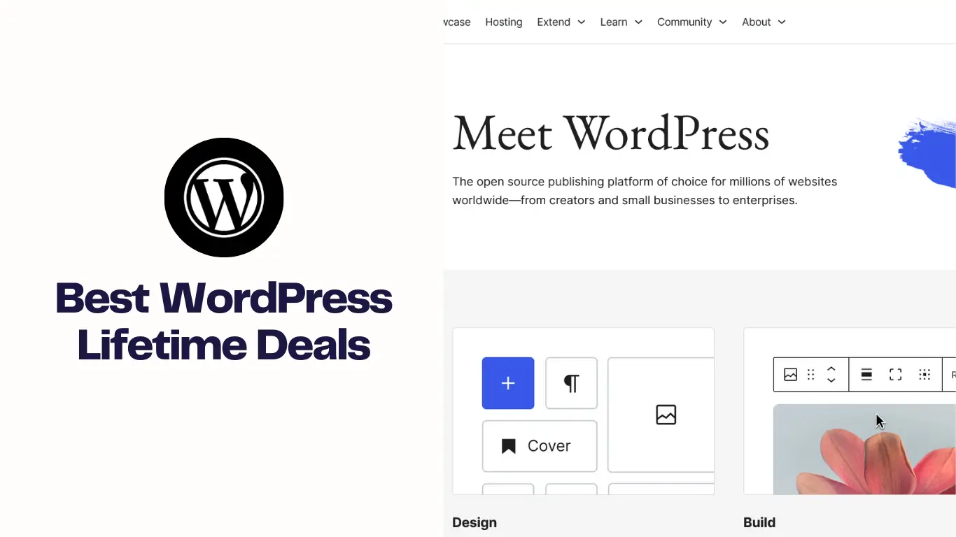 best wordpress lifetime deals